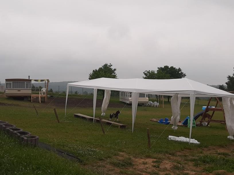 Gosp. Agroturystyczne Stary Gaj Villa Zerkowice Ngoại thất bức ảnh