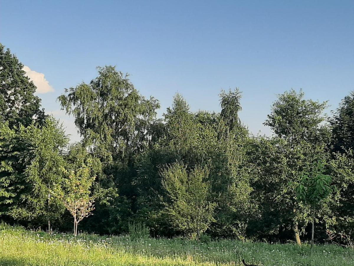 Gosp. Agroturystyczne Stary Gaj Villa Zerkowice Ngoại thất bức ảnh
